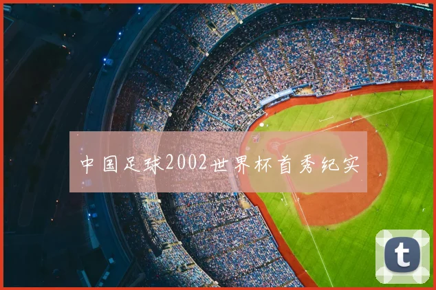 中国足球2002世界杯首秀纪实