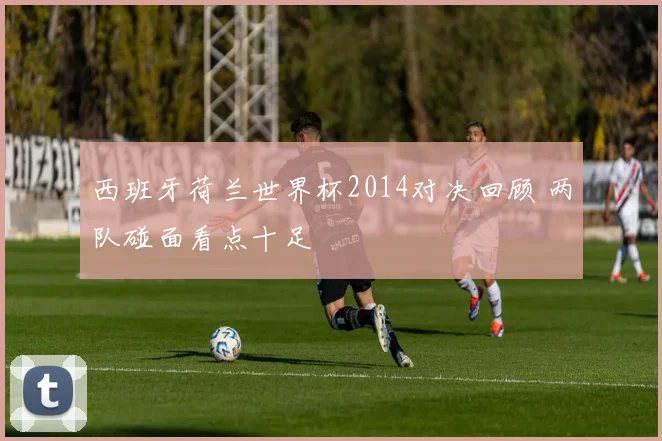 西班牙荷兰世界杯2014对决回顾 两队碰面看点十足
